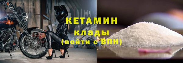 шишки Верхний Тагил