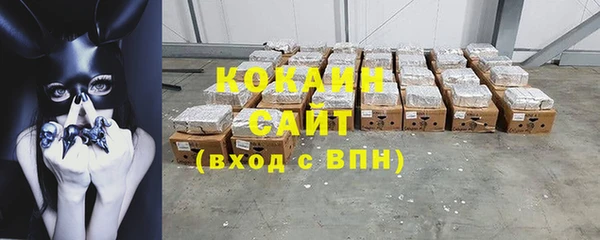 шишки Верхний Тагил