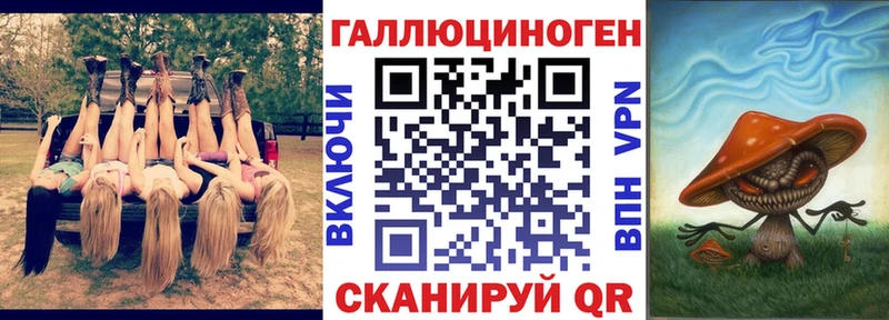 что такое   Новосокольники  мега ссылки  Галлюциногенные грибы MAGIC MUSHROOMS 